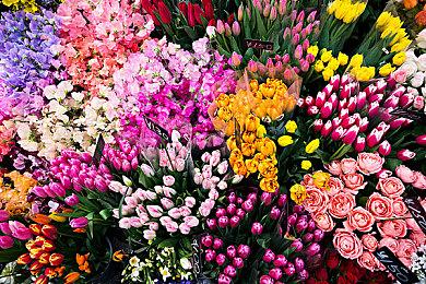 任天堂财报公开新情报《超级马里奥兄弟：惊奇》总销量超430万