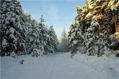 索尼或将为PS5手柄增加PC固件更新支持